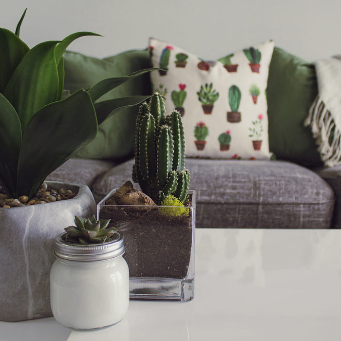 10 of the Best Artificial Plants to Buy for Your Home