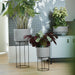 b.for studio round living concrete plant pot lifestyle