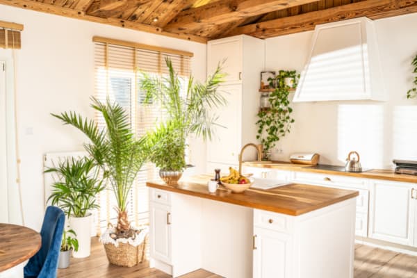 Faux Plants in Your Kitchen