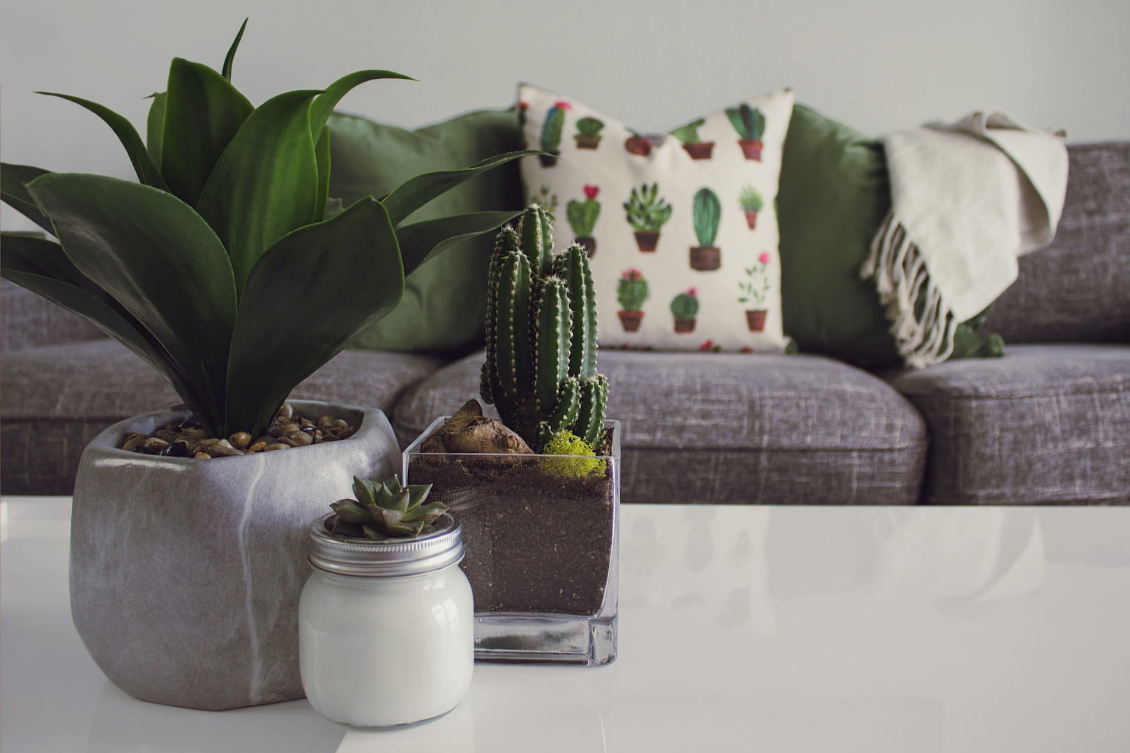 10 of the Best Artificial Plants to Buy for Your Home