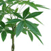 70cm Artificial Money Tree Pachira Realistic Faux Plant