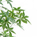 150cm Artificial Money Tree Pachira Realistic Faux Tree