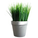 Pack of 6 x 22cm Artificial Grass Plant