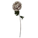 75cm Extra Large Reflex Chrysanthemum - Mushroom