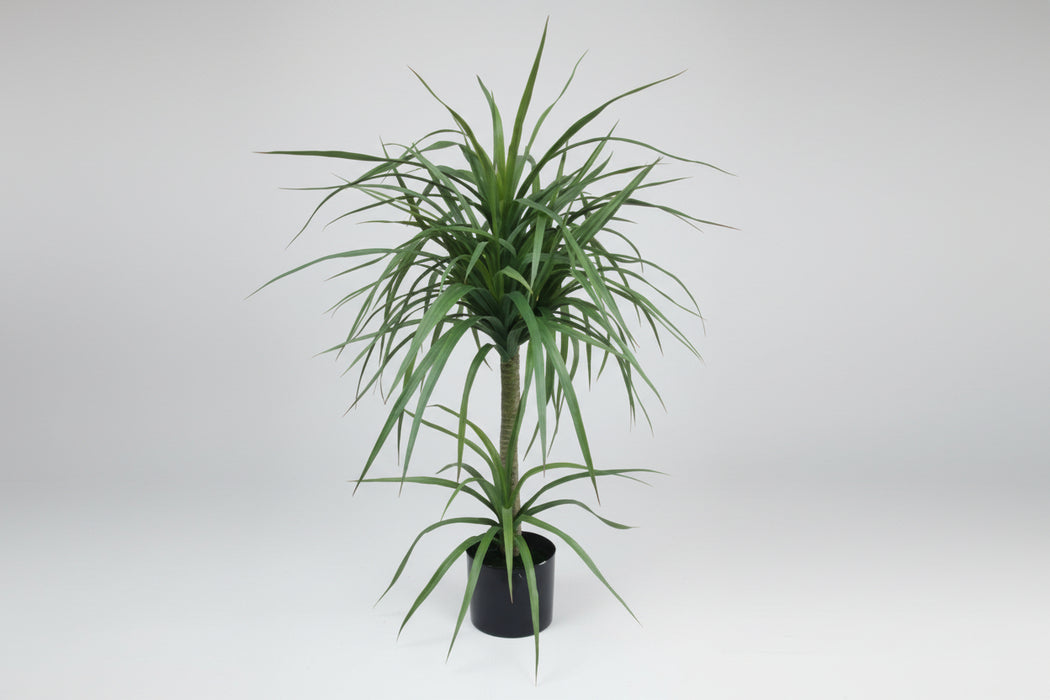 90cm Double Faux Dracaena Tree