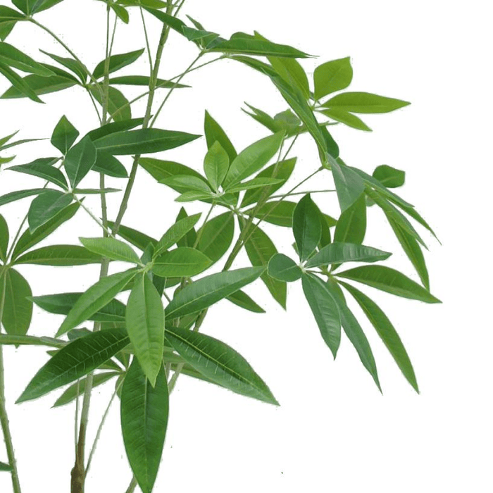 120cm Realistic Artificial Money Tree - Lifelike Faux Pachira Plant Decor