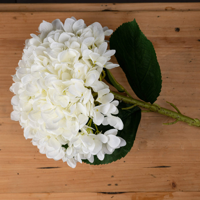 73cm Oversized Faux White Hydrangea