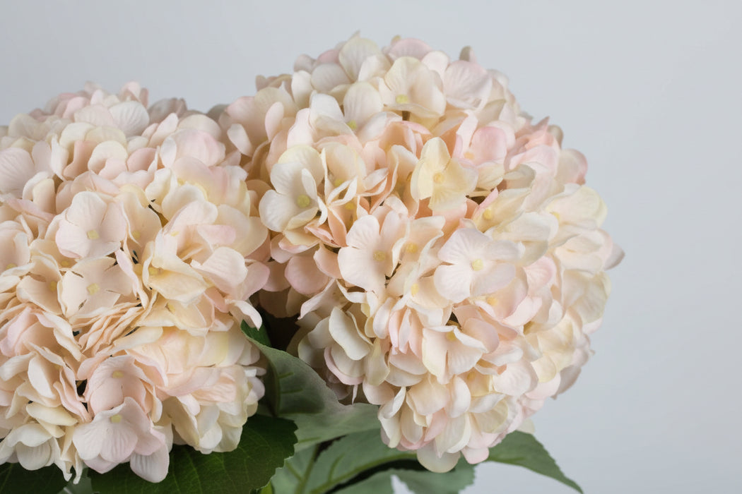 42cm Luxury Cream Autumn Hydrangea Stem