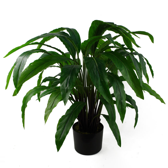 60cm Artificial Calathea Evergreen Plant