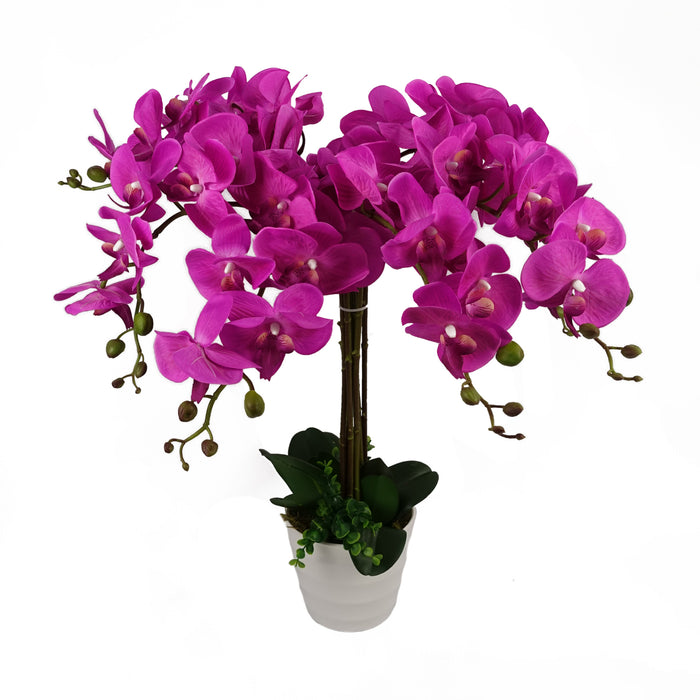 Stunning 85cm Artificial Real Like Dark Pink Bush Orchid