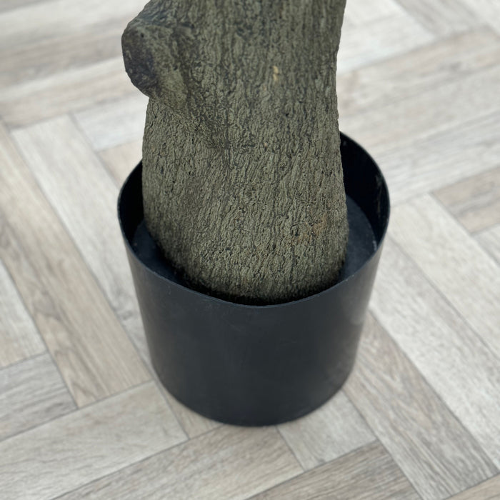 Hand Crafted Luxury Faux Olive Tree 230cm - Fire Retardant