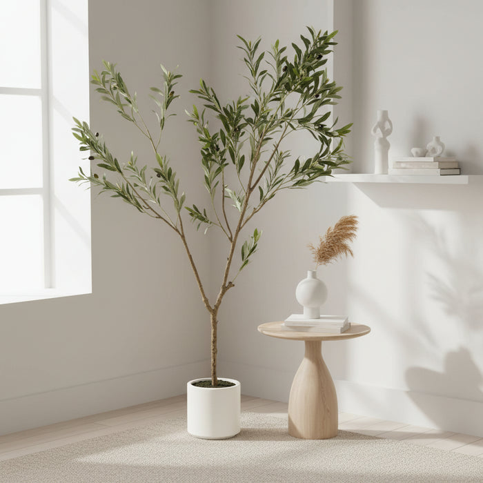 180cm Luxury Apulia Olive Tree In White Pot