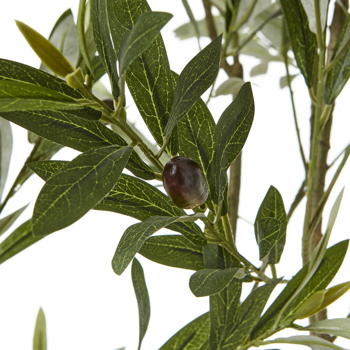 200cm Ultra Realistic Apulia Olive Tree In White Pot