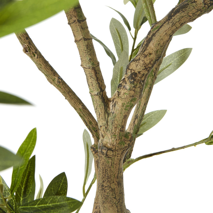 200cm Ultra Realistic Apulia Olive Tree In White Pot
