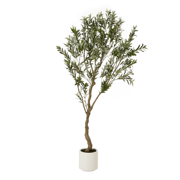 200cm Ultra Realistic Apulia Olive Tree In White Pot
