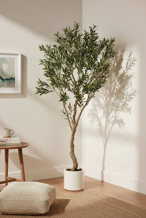 200cm Ultra Realistic Apulia Olive Tree In White Pot