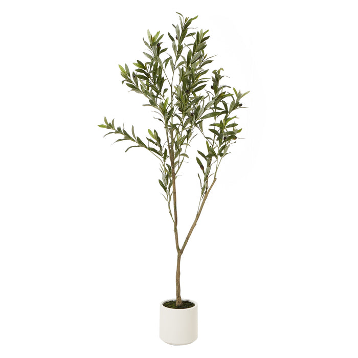 150cm Elegance Apulia Olive Tree In White Pot