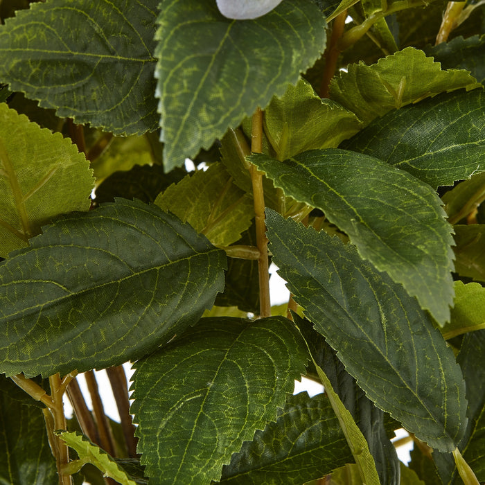 Large Elegance Green Hydrangea Plant In Pot