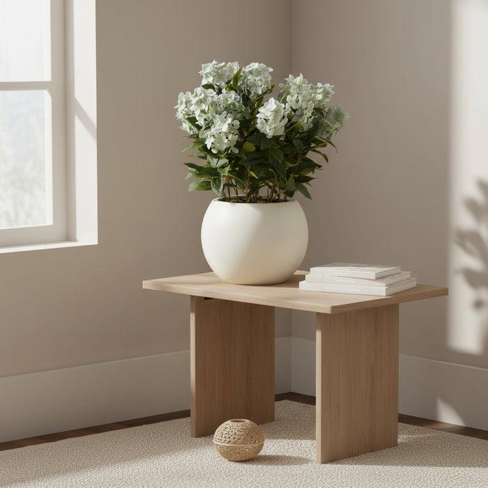 Large Elegance Green Hydrangea Plant In Pot