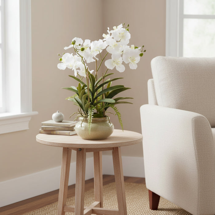 69cm Gorgeous White Vanda Orchid Plant In Ceramic Pot