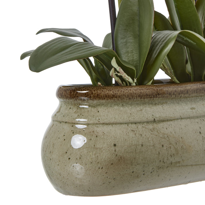 74cm Large Stunning Green Orchid In Ceramic Pot