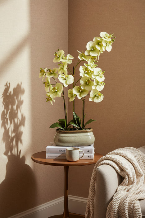 74cm Large Stunning Green Orchid In Ceramic Pot