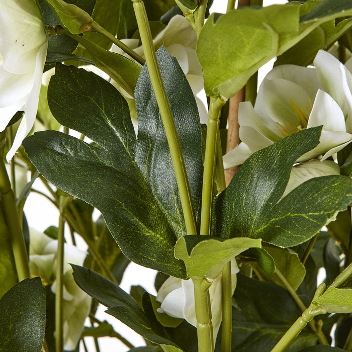 85cm Large Exquisite White Hellebore In Grey Pot