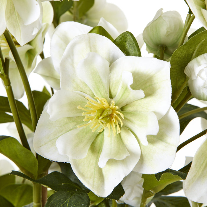 85cm Large Exquisite White Hellebore In Grey Pot