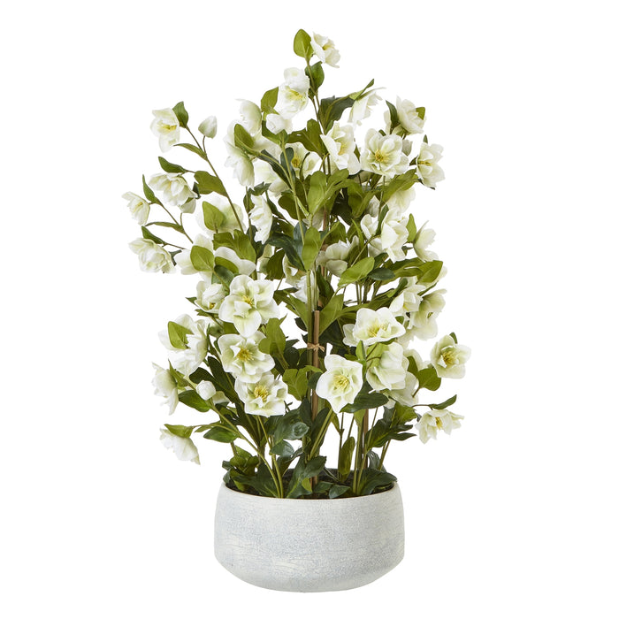 85cm Large Exquisite White Hellebore In Grey Pot