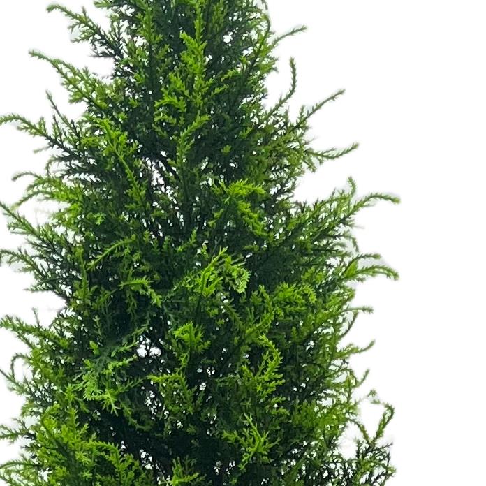 Artificial UV Resistant Outdoor Cypress Cedar Topiary Tree 150cm