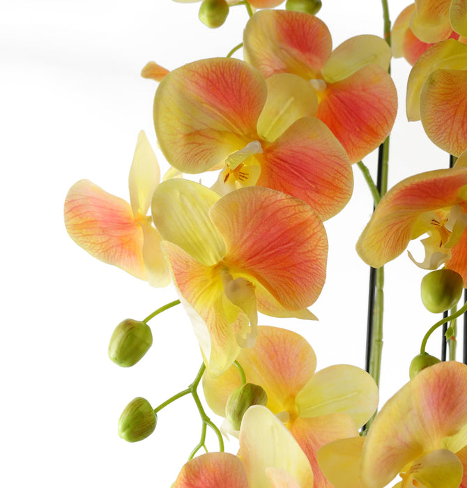 110cm Yellow Peach Orchid Plant – Real Touch Flowers
