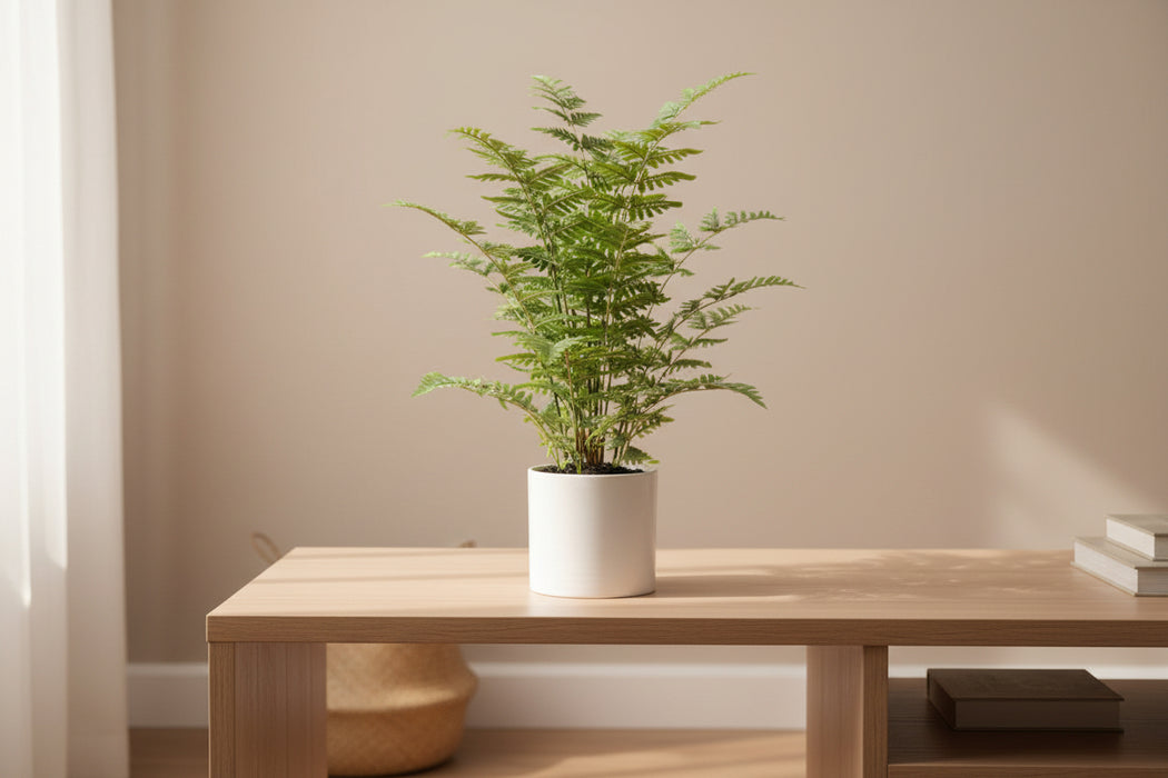 75cm Artificial Fern Plant
