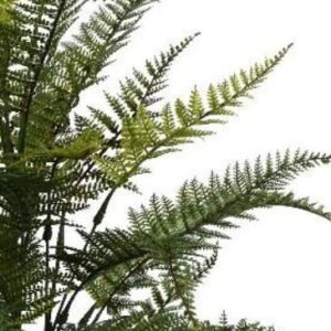 Pack of 6 x 78cm Fire Retardant Fern Foliage Branch