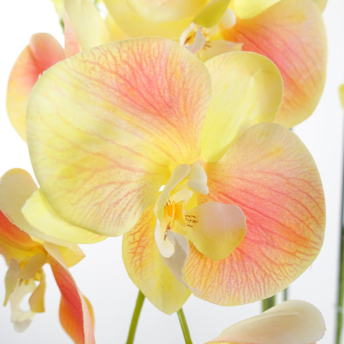 110cm Yellow Peach Orchid Plant – Real Touch Flowers