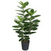 120cm Artificial Rubber Tree