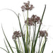 95cm Artificial Grass Plant Potted with Flower Detail