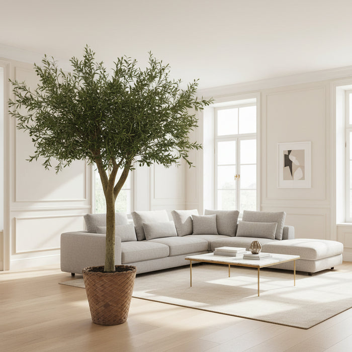 Show-Stopping Olive Tree 300cm - Fire Retardant