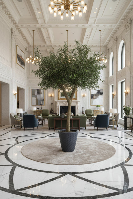 Show-Stopping Olive Tree 300cm - Fire Retardant