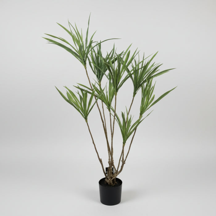 Stunning 125cm Dragon Realistic Dracaena  Tree