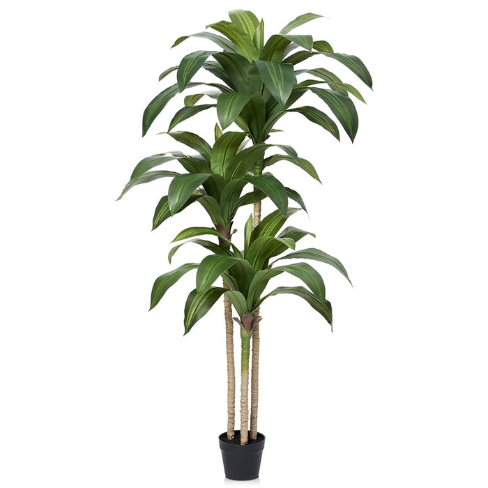 150cm Dracaena Tree, Faux Plant with Pot