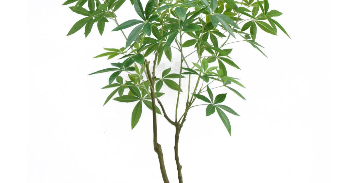 150cm Artificial Money Tree Pachira Realistic Faux Tree