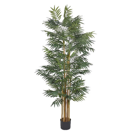 210cm Fire Retardant Phoenix Palm Tree Natural Trunk