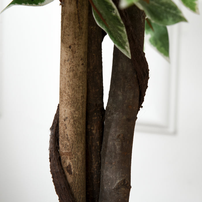 160cm - Realistic Artificial Ficus Tree