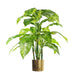 100cm Large Foxs Aglaonema (Spotted Evergreen) Tree Artificial Plant with Gold Metal Planter
