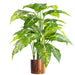 100cm Large Foxs Aglaonema (Spotted Evergreen) Tree Artificial Plant with Copper Metal Planter