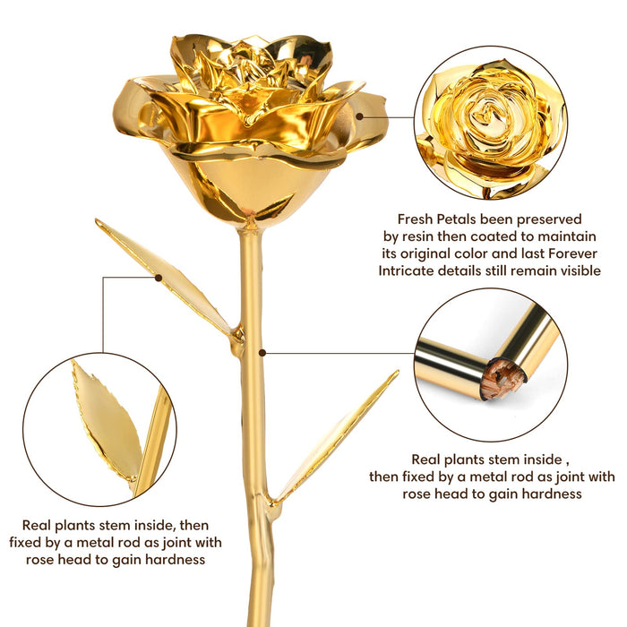 Gold Dipped Real 24K Stem Gold-Plated Rose.