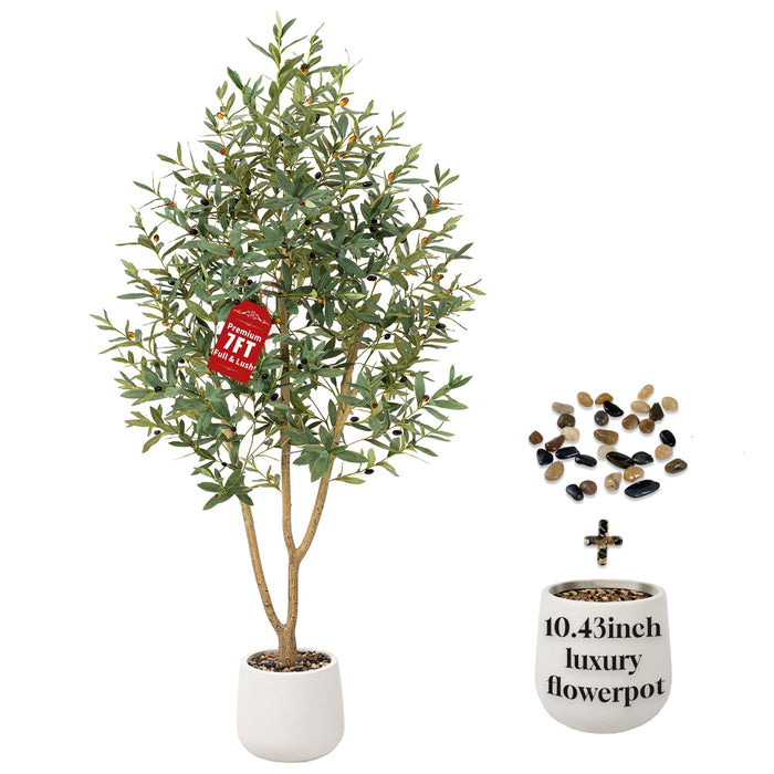 Mediterranean Olive Tree – 210cm with White Planter