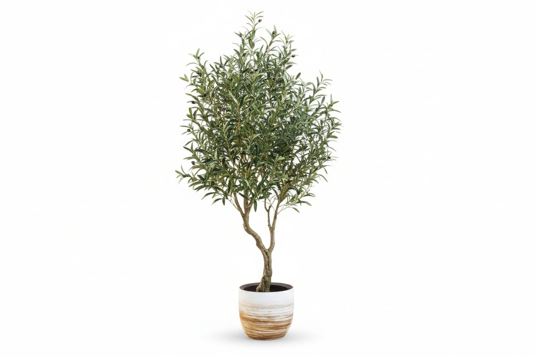180cm Lifelike Mediterranean Olive Tree - UV Resistant Maintain its Vibrant Green Colour