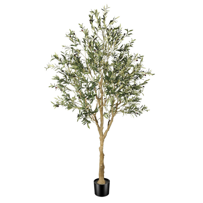 Mediterranean Olive Tree – 210cm with UV-Resistant, Natural Wood Trunk