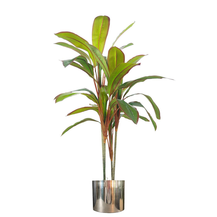 100cm Dracaena Plant/Tree with Metal Planter
